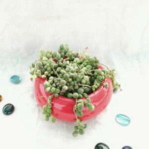 earthen nest ceramic pot