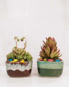 Horizon succulent planter