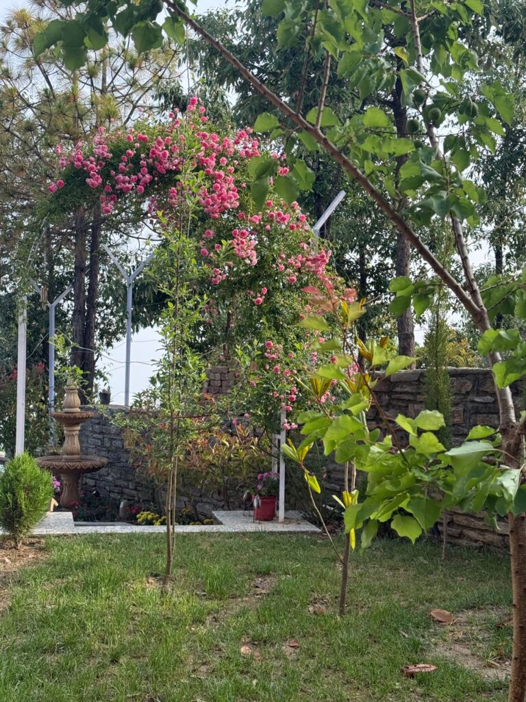 garden design Mukteshwar